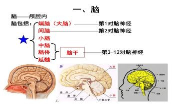 在电脑上工作计划8篇