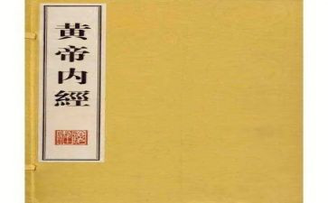 内经的心得体会8篇