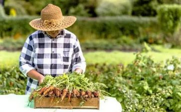 农夫与蛇的读后感8篇