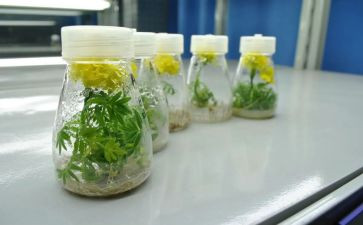 培养班工作计划通用6篇