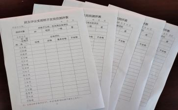 教育评议工作总结8篇