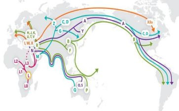迁移户口的申请书模板通用6篇