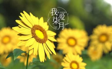 小班七月份工作总结8篇