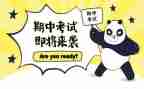 中班期中工作总结7篇