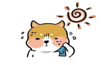 关于热爱国旗的演讲稿5篇