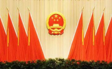 镇人大表的述职报告7篇