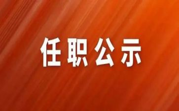 任职后工作总结7篇