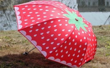 折雨伞教案5篇
