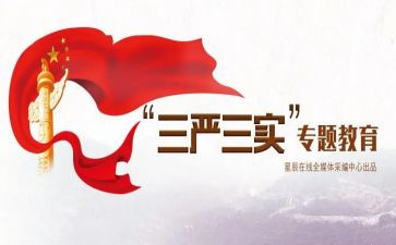 三严三实2023工作总结6篇