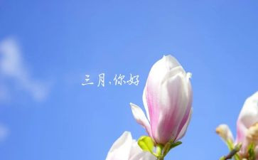 中班三月份工作总结7篇