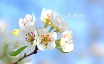 小班三月计划8篇