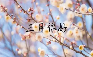 初三月计划优质8篇
