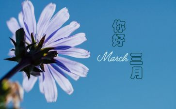 教师三月总结参考6篇