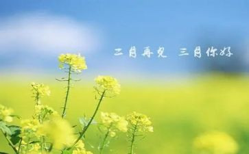 三月份的工作总结7篇