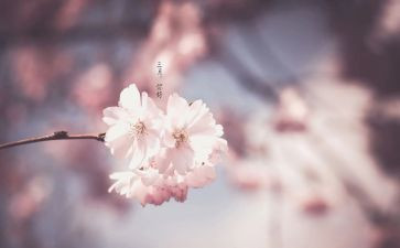 教师三月总结8篇