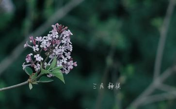三月的工作总结7篇