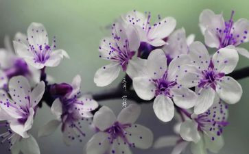 三月幼儿园工作总结5篇