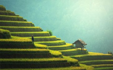校长扫墓讲话稿7篇