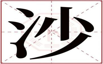 沙与沫读后感2000字参考6篇