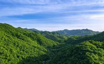 浮来山作文300字推荐7篇