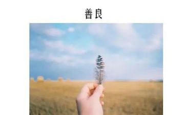 善文化的演讲稿6篇