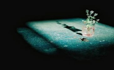 预防伤害教案6篇