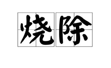 计划烧除个人总结推荐7篇