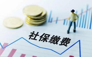 社保员的工作总结8篇