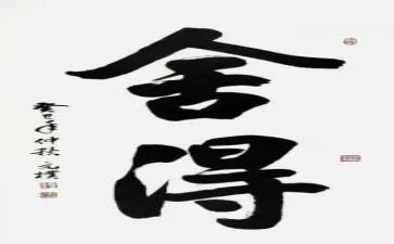 舍得类作文6篇