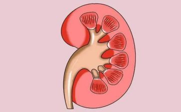 肾内科医师个人总结5篇