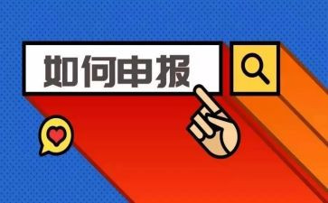 中二申报个人总结最新7篇