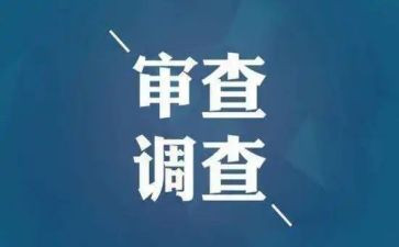 审查调查调查报告7篇