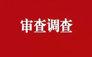 审查调查报告和调查报告8篇