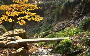 在我记忆深处作文通用6篇