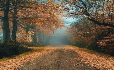 在我记忆深处作文400字5篇