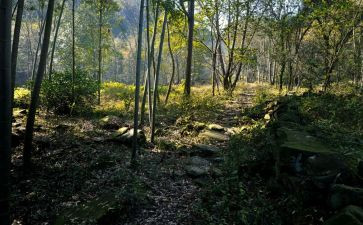 在我记忆深处作文6篇