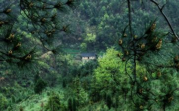 在我记忆深处作文参考5篇