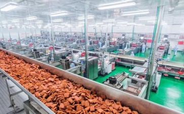 2024年安全生产月活动工作总结优质6篇