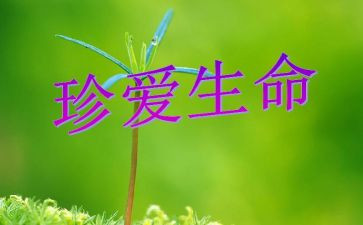 珍爱生命的演讲稿300字7篇