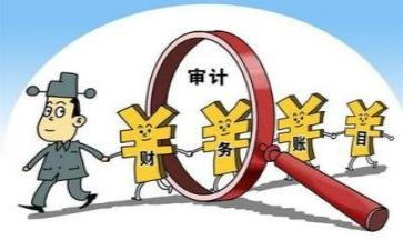 审计半年度工作总结7篇