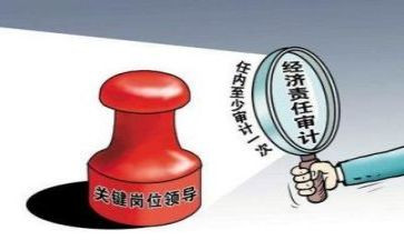 审计局2024年审计工作总结7篇