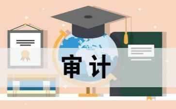 审计半年度工作总结优质8篇