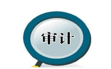 审计所工作计划5篇