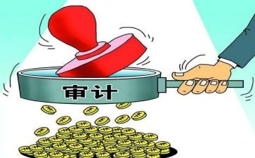 审计员个人总结8篇
