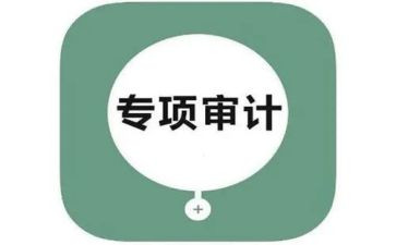 审计2024年工作总结8篇