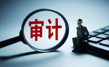 审计2024年工作总结最新7篇