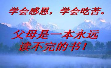 师长述职报告最新6篇