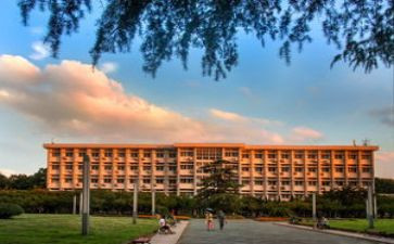 大学师范实习个人总结5篇