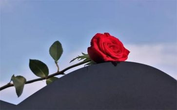 失去优秀作文5篇