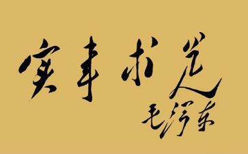 村办实事调研报告5篇
